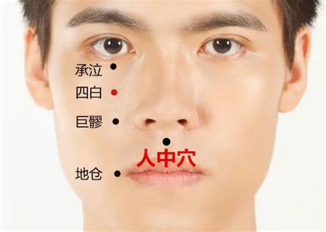 壓人中什麼意思|急救按鈕「人中穴」，能調節血壓和呼吸，一共隱藏了6大功能